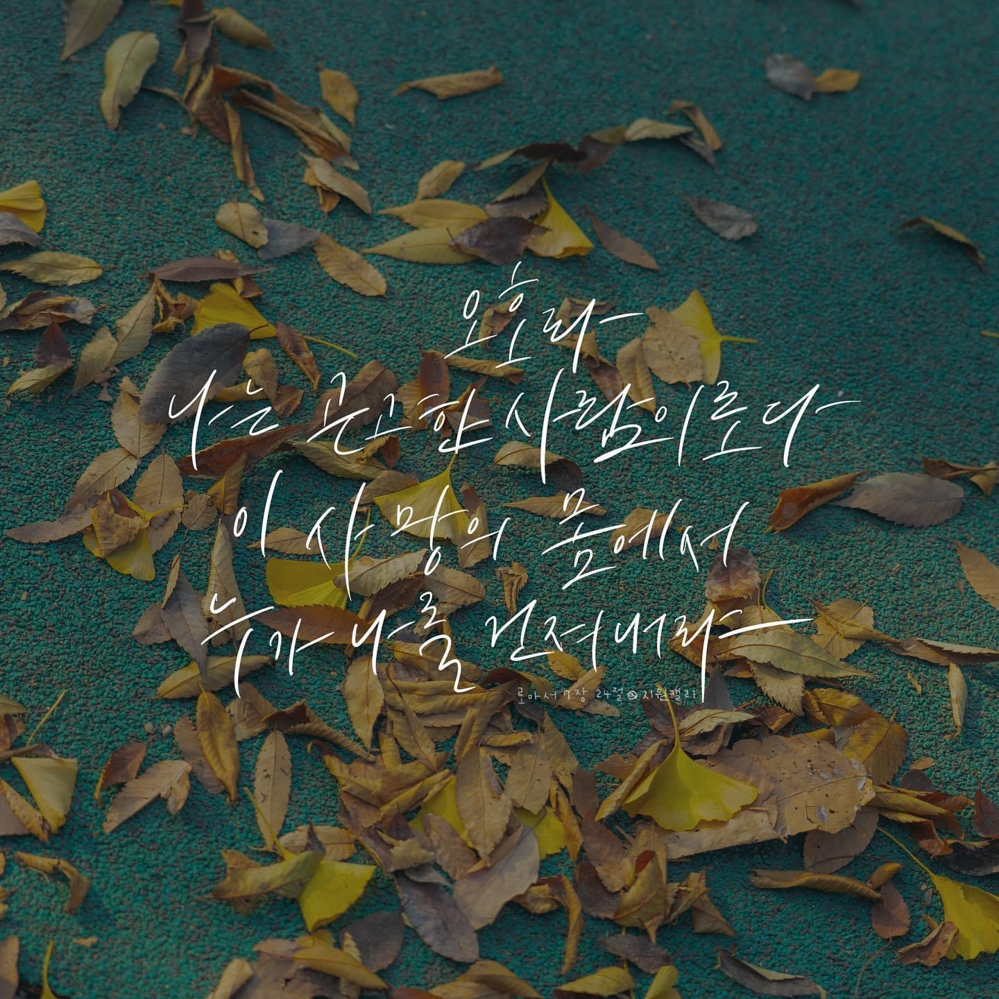 홈페이지