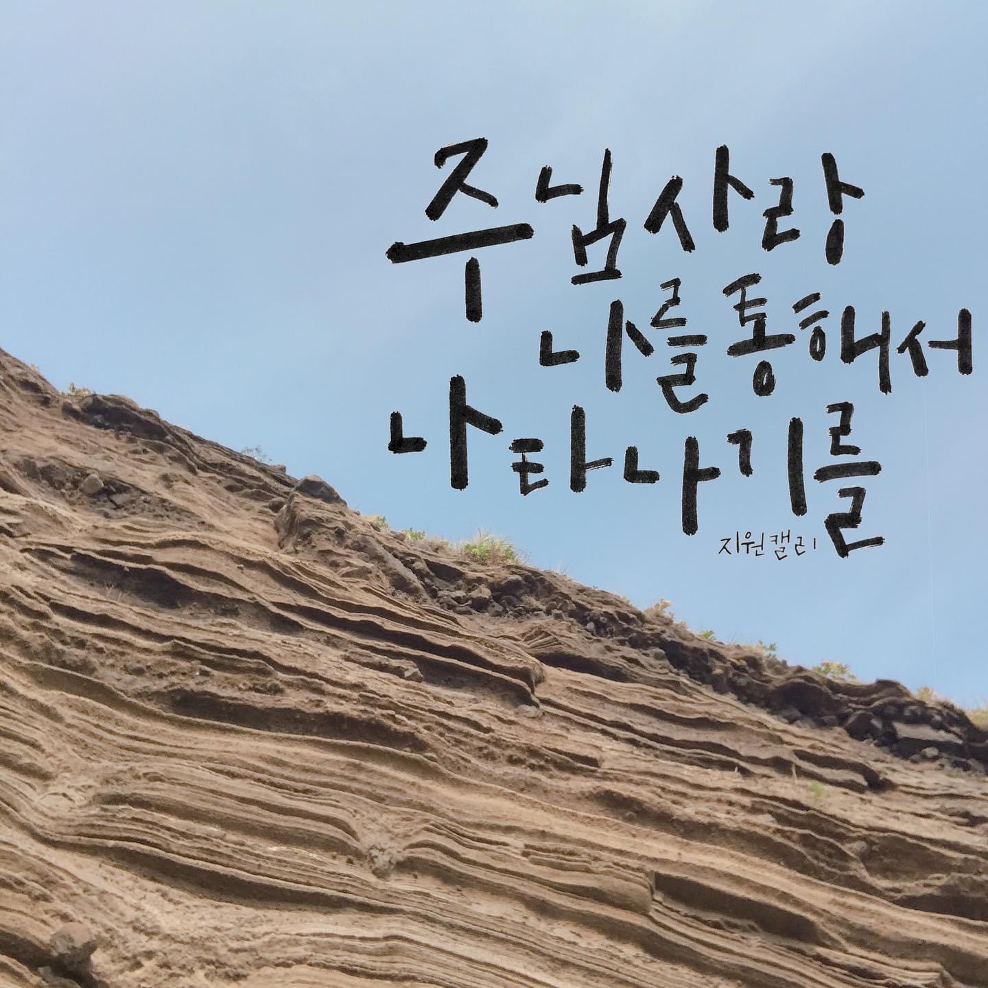 홈페이지