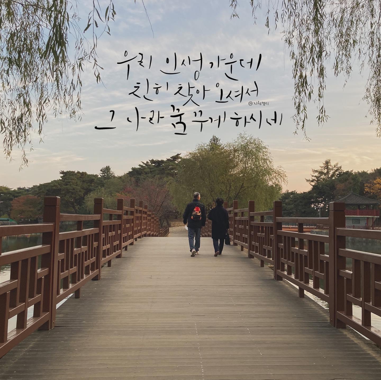 홈페이지
