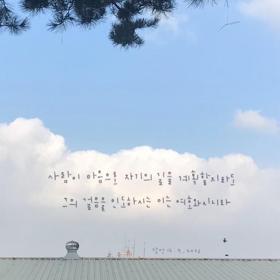홈페이지