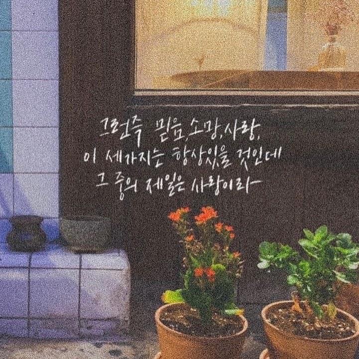 홈페이지
